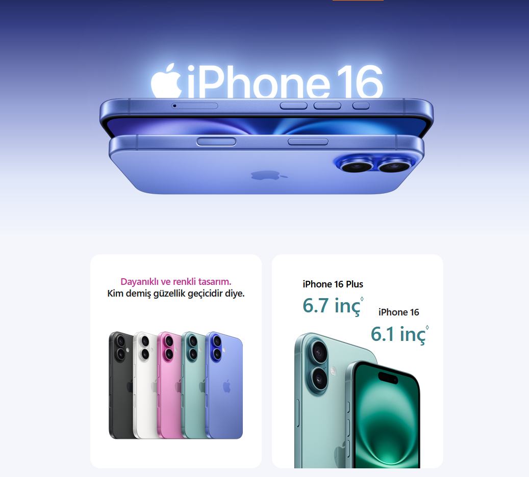 Apple 13