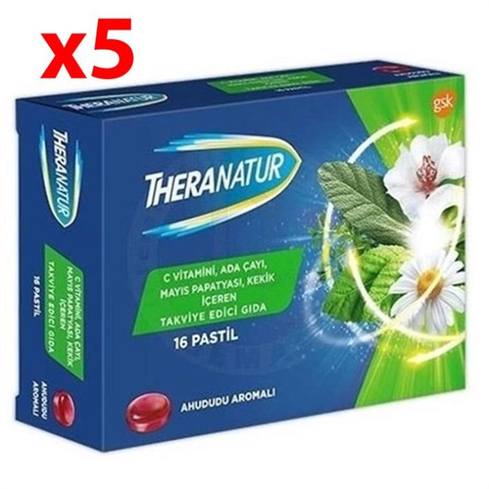 Theranatur Ahududu Aromalı Pastil 16 Adet 5 Adet
